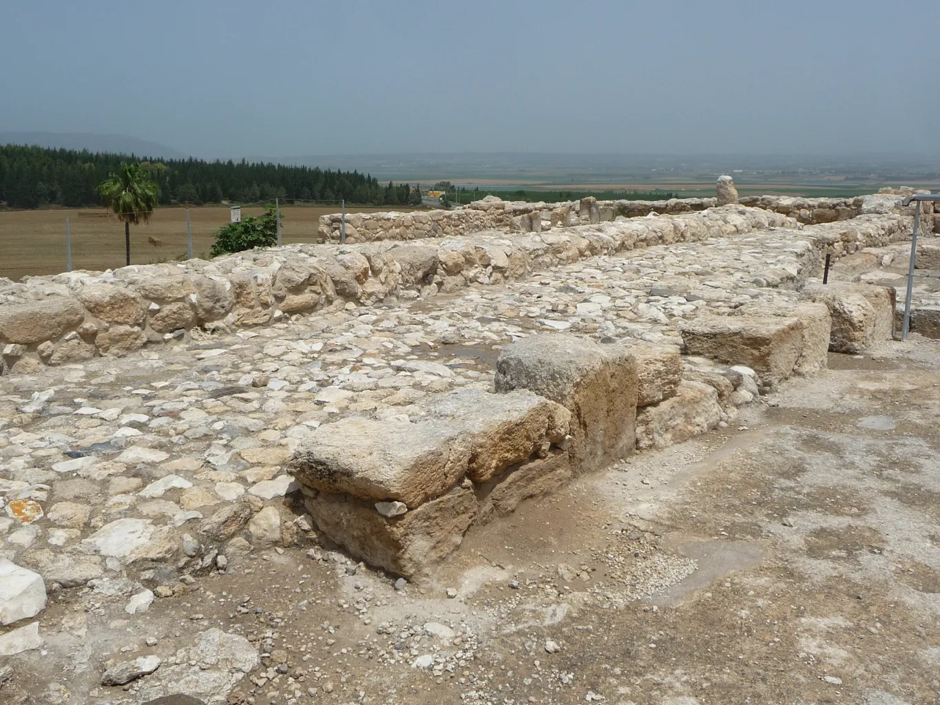 Tel Megiddo 8